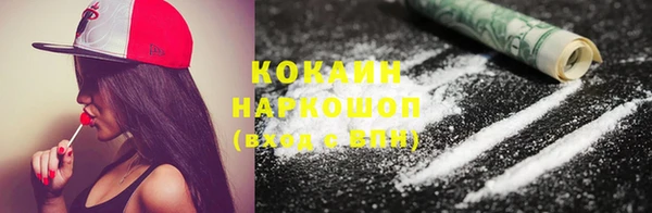 дживик Богородск