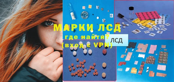 дживик Богородск